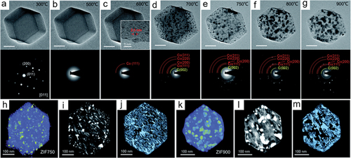 Figure 8. (a–g) TEM images and corresponding SAED patterns of ZIF-67 during in situ annealing acquired at various temperatures. All scale bars are 100 nm unless indicated (c-inset). 3D tomographic reconstruction, corresponding orthoslices, and porous structure of (h-j) ZIF750 and (k-m) ZIF900, respectively. (reproduced from ref. 143).