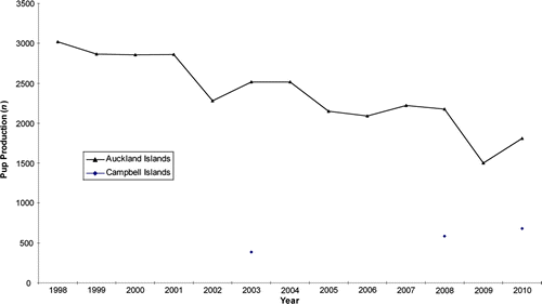 Figure 1  Pup production estimates from Auckland Islands (1998–2010 [Chilvers 2011]) and completed pup production estimates Campbell Island/Motu Ihupuku (2003–10).