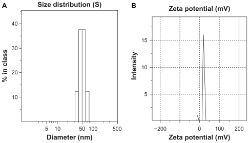 Figure 2 (A) Average size distribution and (B) zeta potential of folic acid-conjugated stearic acid-grafted chitosan copolymer micelles at a concentration of 1 mg/mL.