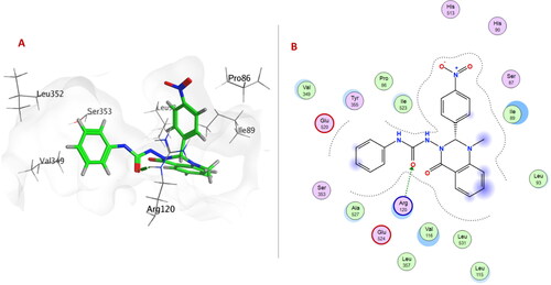 Figure 4. (A) 3D Interaction diagram of compound 6e (thick green sticks) in the molecular surface of COX-1 (PDB: 1EQG) binding site. (B) 2D Interaction diagram of compound 6e with amino acid residues of COX-1.