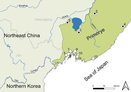 Figure 1. Map of research area and archaeological sites of Paleometal period. Study sites: (1) Siny Gai A; (2) – Elizavetovka-1; (3) Dvoryanka-1; (4) Vetrodui. Sites with bronze or iron artifacts; (5) Barabash-3; (6) Peschanny; (7) Chapaevo; (8) Cherepakha-7; (9) Oleny (Maihe) – 1; (10) Malaya Podushechka; (11) Solontsovy-2; (12) Kievka; (13) Krounovka-1; (14) Korsakovskoe-2.