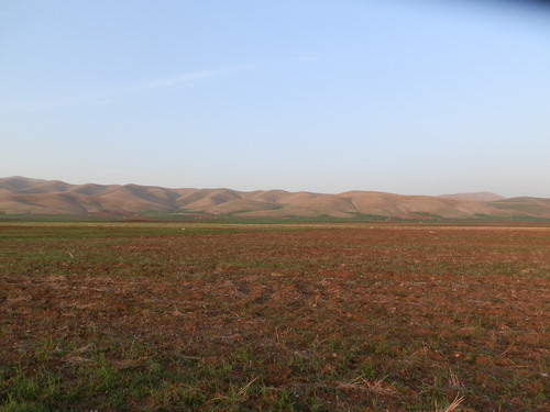 Figure 5. View towards the limestone Zagros foothills, looking northeast, from the village of Bestansur.