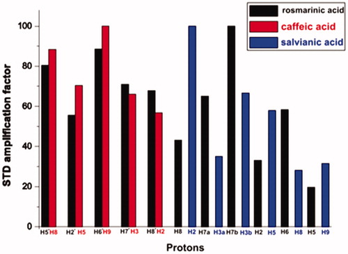 Figure 4. Relative STDAMP (saturation transfer difference amplification factor) values of the saturated protons (regarding their binding to BSA) of rosmarinic acid (black) and its submoieties, caffeic acid (red) and salvianic acid (blue). The values in each molecule are normalised to the intensity of the signal with the largest STD effect.