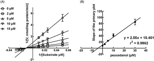 Figure 6. The inhibition model fitting and corresponding parameters calculation of CYP3A4 catalysed reactions (testosterone 6 b-hydroxylation) in pooled HLM. (A) Lineweaver-Burk plots of the of inhibition of peucedanol on CYP3A4 with testosterone (20–100 μM) in the absence or presence of peucedanol (0–30 μM). The inhibition of CYP3A4 was best fitting with non-competitive manner. (B) Secondary plot with the value of Km/Vmax in Figure 6(A). All data represent the mean of the incubations (performed in triplicate).