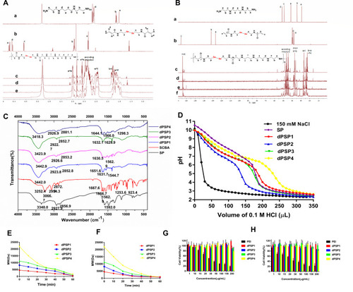 Figure 3 Characterization of the polymer. 1H NMR (A) and13C NMR (B) spectrum (SCBA(b) in DMSO, and SP(a), dPSP1(c), dPSP2(d), dPSP3(e) and dPSP4(f) in D2O. FT-IR spectra (C) of samples SP, SCBA and dPSPs. Titration curve of polymer titrated with 0.1M HCl solution (D). Degradation property of dPSPs in 0.5 mM GSH (E) and 10 μM H2O2 (F). Cell viabilities of 4T1 (G) and NIH/3T3 cells (H).