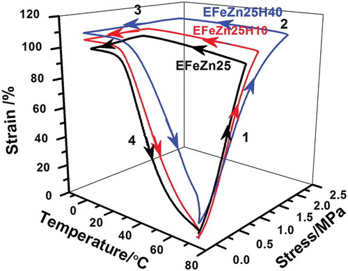 Figure 11. Thermomechanical cycles of ENR and ENR/HNT composites.