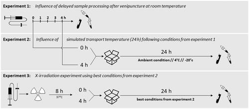 Figure 1. Experimental setup of all three experiments performed in this study. Experiment 1 examined the influence of delayed sample processing up to 4 h at the ward prior to transport to specialized laboratories. In experiment 2, three different simulated transport conditions were additionally investigated for up to 24 h, and experiment 3 examined the influence of additional irradiation using the best conditions from experiment 2.