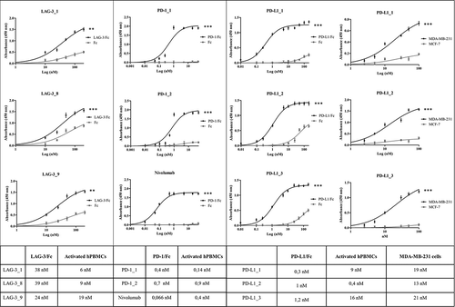 Figure 3. Binding of the selected antibodies to the purified recombinant proteins and tumor cells. Binding curves of the antibodies to each target protein/Fc (black curves) or Fc (grey curves) are reported in the left and central panels. The binding curves of the anti-PD-L1 mAbs to MDA-MB231 cells (black curves) or MCF-7 cells (grey curves) are reported in the right panel. The Kd values obtained from the binding curves of the antibodies to each target protein/Fc, activated hPBMCs and tumor cells are reported in the table. Binding values were reported as the mean of at least three determinations obtained in three independent experiments. Error bars depicted means ± SD. P values for the binding of the indicated mAbs to each target protein/Fc relative to their binding to Fc: ***P ≤ 0.001; **P < 0.01.