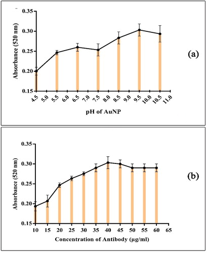 Figure 5. Optimal pH value and Ab concentration for coating AuNP.