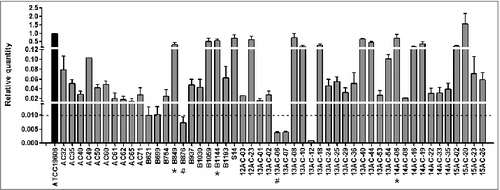 Figure 2. Relative hcp transcript levels in A. baumannii isolates as measured by qRT PCR. hcp transcription levels are shown relative to that in A. baumannii ATCC 19606. The dashed line indicates 0.01-fold the expression levels of hcp in the reference strain, ATCC19606. The asterisk (*) and pound (#) symbols indicate the isolates with high and low hcp expression, respectively, that were used in the western blotting, competition, biofilm formation, and serum resistance assays.