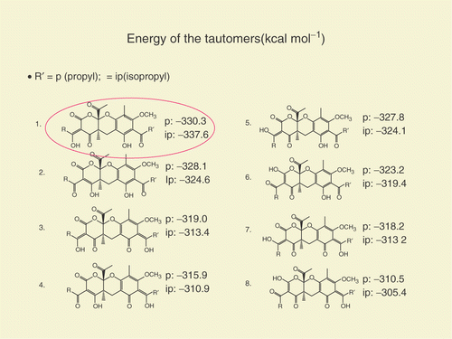 Figure 1. Relative Energy of the Tautomers (kcal mol−1).