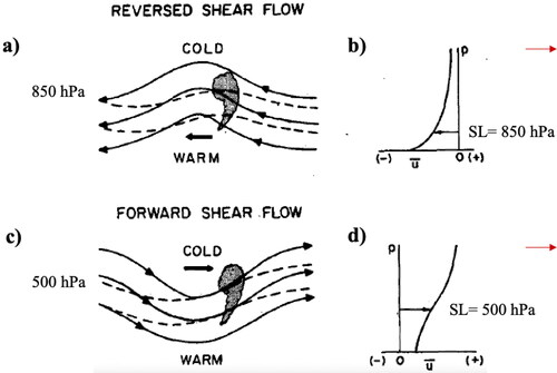 Fig. 9. Perturbation structure at the steering level in a (a) reverse-shear and (c) forward-shear flow. The solid lines represent the streamlines, and the dashed lines represent the isotherms. The thick black arrows represent the phase propagation vector and the steering level wind. The shaded grey region shows a comma-shaped cloud associated with the perturbation. The zonal component of the wind (u) at different pressure levels (p) is shown for the (b) reverse-shear and (d) forward-shear flow. The steering level wind is represented by the black arrows, and the direction of the thermal wind is schematically represented by the red arrows. Adapted from Businger and Reed (Citation1989). © American Meteorological Society. Used with permission.