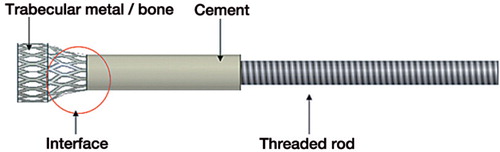 Figure 1. Schematic drawing of a probe used for testing. The cylindrical end with porous metal/bone had a diameter and height of 10 mm, with a tapered top 6 mm in diameter where the probe was anchored to the PMMA.
