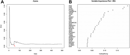 Figure 4 Random forest (RF) algorithm to screen hub genes in GSEM + GSE143272 datasets. (A) Distribution diagram of regression tree and error. (B) The top 30 most important variables ranked by IncNodePurity.