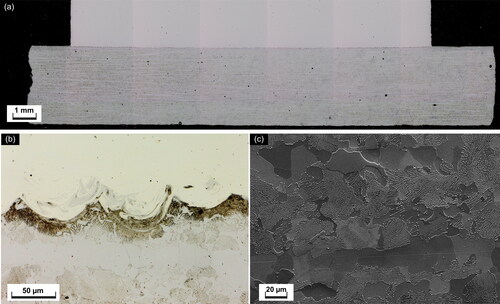 Figure 4. (a) Overview of interface between steel platform and LPBF Haynes® 282®; (b) Optical micrograph of interface region between LPBF Haynes® 282® and steel building platform before heat treatment; (c) microstructure of steel building platform before heat treatment, Nital etch.