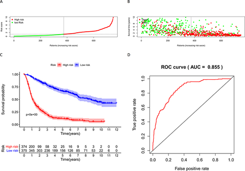 Figure 7 (A) Risk scores for glioma samples in CGGA; (B) Relationship between risk score and survival time of glioma samples in CGGA; (C) Survival analysis of samples in the high-risk and low-risk groups in CGGA; (D) ROC curves for Nomogram to predict survival in glioma patients.
