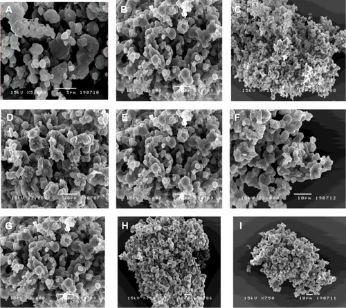 Figure 1 Scanning electron micrographs of sCT-CS-NPs spray dried powders using different nanoparticles/mannitol ratios (NPs/M) and inlet temperatures. (A) NPs/M = 10/90, (B) NPs/M = 20/80, (C) NPs/M = 30/70 all prepared at 110°c, (D) NPs/M = 10/90, (E) NPs/M = 20/80, (F) NPs/M = 30/70 all prepared at 130°c and (G) NPs/M = 10/90, (H), NPs/M = 20/80, (I) NPs/M all prepared at 150°c.