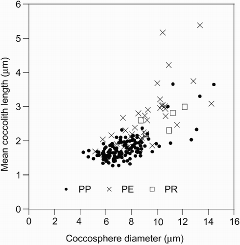 Fig. 9. Coccosphere and coccolith size of F. profunda from HOT, BATS and EBC plankton samples. Coccosphere diameter and mean coccolith length of all complete, undeformed cells upon which at least three coccoliths could be measured. The individual distributions of the three varieties of F. profunda are shown: PP – F. profunda var. profunda, PE – F. profunda var. elongata, PR – F. profunda var. rhinocera. Coccosphere diameter and mean coccolith length is correlated with a coefficient (r) of 0.46.