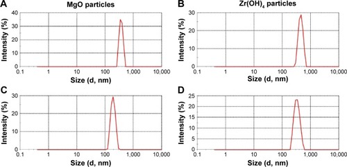 Figure 3 Particle size analysis of centrifugal supernatants of nano-MgO and nano-Zr(OH)4.Notes: (A) Nano-MgO without settling; (B) nano-Zr(OH)4 without settling; (C) nano-MgO after 7 days settling; (D) nano-Zr(OH)4 after 7 days settling.