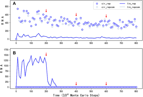 Figure 4. The influence of reducing template capability of the linear REP. The legends are interpreted in the same way as those in Figure 2. The symbols concerning the control sequence, which are nearly at the zero level throughout the simulation, are omitted. (A) The case is just the one shown in Figure 2A, except that FLT , which represents the template suitability of a linear RNA, is adjusted for the REP ribozyme midway (from the default value 0.5 to 0.2, to 0.1 and finally to 0; see red arrows), the outcome suggests that when the circular RNA can act as a genome, the evolution of the ribozyme towards more complicated folding, (thus with a reduced template capability) would have little impact on its spread as a species. (B) The case is run under the same situations as the case shown in (a), except that PEL, the probability for RNA’s intramolecular end-to-end ligation, is set to 0 and thus no circular RNA can appear in the system. The outcome suggests that when the linear REP ribozyme has to act as a template itself, its evolution towards greater structural complexity may be greatly hindered by the simultaneous loss of its template capability.