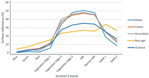 Figure 4. Spectral responses of the five classes based on the Sentinel-2 bands considered