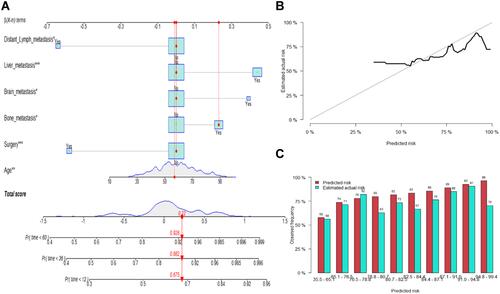 Figure 5 Competitive risk model. (A) Nomogram predicting CSS at 1-, 3- and 5-year using the competitive risk model. According to the Nomogram score, patient No.31 has a cumulative risk of 0.675, 0.882, and 0.928 at 1-, 3- and 5-year, respectively. (B) Calibration curves for internal validation of the nomogram. (C) Predicted risk histogram comparing predicted risk of the nomogram with the observed frequency. *P<0.05; ***P<0.001.