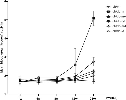 Figure 4 Effect of BSR on blood urea nitrogen level of db/db DN mice (mg/24-hours). Animals were assigned into six group (n = 25): control group (db/m), model group (db/db-m), positive group (db/db-me) and BSR at high- (db/db-hd), medium- (db/db-md) and low (db/db-ld) doses group. The data are shown as the mean±SD.