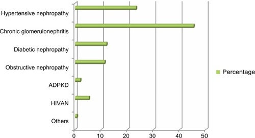 Figure 1 Distribution of clinical diagnoses in patients with end-stage renal disease.