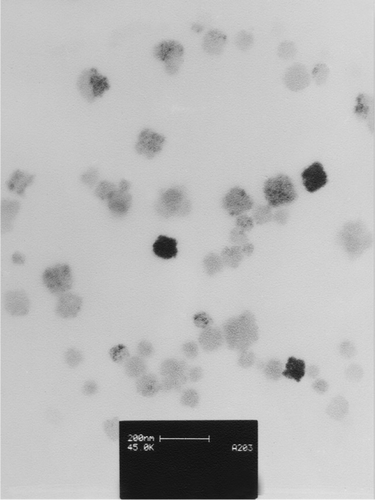 Figure 2. TEM morphology of formulation No. 1.