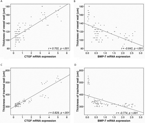 Figure 5.  Correlation of lung pathology with expression of CTGF and BMP-7 (r).