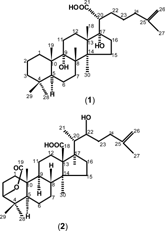 Figure 1 Structures of compounds 1 and 2.