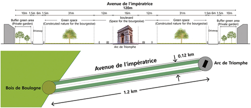 Figure 3. Principle of the great rebuilding project for the beautification of Paris. Section and master plan of avenue de l’impératrice. Drawn by the author, 2023.