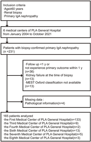 Figure 1 Flowchart of patients screened, recruited, and included in the final analysis.
