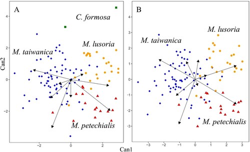 Figure 7. Two-dimensional scatterplots of canonical discriminant analysis. A, Analysis including the species Meretrix taiwanica sp. n., M. petechialis, M. lusoria and C. formosa; B, analysis including the species Meretrix taiwanica sp. n., M. petechialis and M. lusoria.