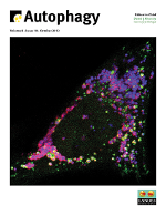 Cover image for Autophagy, Volume 8, Issue 10, 2012