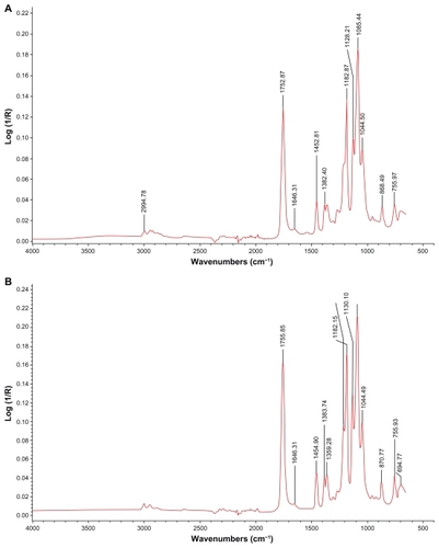 Figure 3 FTIR-ATR spectra of ENSs conjugated with two model agents. (A) A hybrid ENS coupled with NHS by EDC. (B) An ENS coupled with EGS.Abbreviations: EDC, 1-Ethyl-3-(3-dimethyl aminopropyl) carbodiimide hydrochloride; EGS, ethylene glycol-bis(succinimidyl succinate); ENS, electrospun nanofibrous scaffold; FTIR-ATR, Fourier transform infrared attenuated total reflectance; NHS, N-hydroxysuccinimide.
