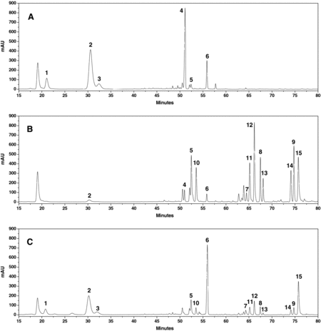 Figure 2. HPLC chromatograms of raw P. notoginseng (A), steamed P. notoginseng at 120 °C for 4 h (B) and biotransformed P. notoginseng with T. longibrachiatum for 72 h (C).