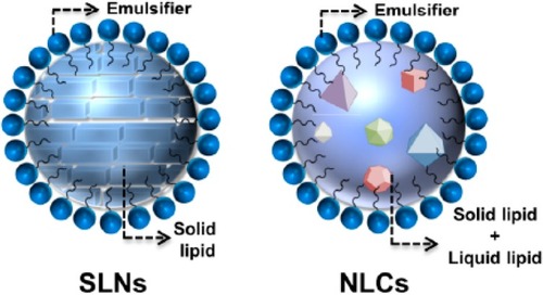 Figure 1 A schematic illustration of nanostructured Lipid Carrier (NLC) on right and solid lipid nanoparticles (SLN) on leftNotes: Reproduced from Hsu CY, Wang PW, Alalaiwe A, Lin ZC, Fang JY. Use of lipid Nanocarriers to improve Oral delivery of vitamins. Nutrients. 2019;11(1):68-97Citation325