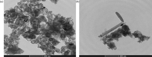Figure 9. TEM images of the final product of autogenic thermal treatment of PET raw material with ferrocene: (a) without additives and with doubling reactants at 800ºC for 20 hr (sample code 11Fe), and (b) with 20 mL H2O2 at 800ºC for 22 hr (sample code 2Fe).