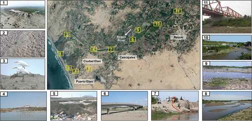 Figure 3. Landscape condition along the Reque River. Satellite image obtained from Google Earth. From 1 to 10, photographs illustrate a variety of geomorphic settings (both in land and alluvial channel), presence of migratory birds, waste disposal, soil salinization, and river infrastructure