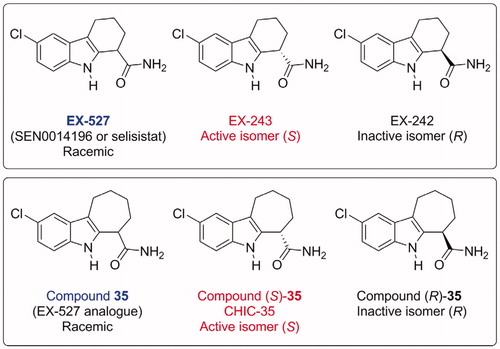 Figure 1. Structures of SIRT1 inhibitors EX-527 and its analogue Compound 35, indicating their absolute stereochemistry and the corresponding names used in the literatureCitation15. EX-527 and CHIC-35 are now commercially available from suppliers.