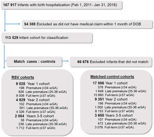 Figure 1 Patient disposition.