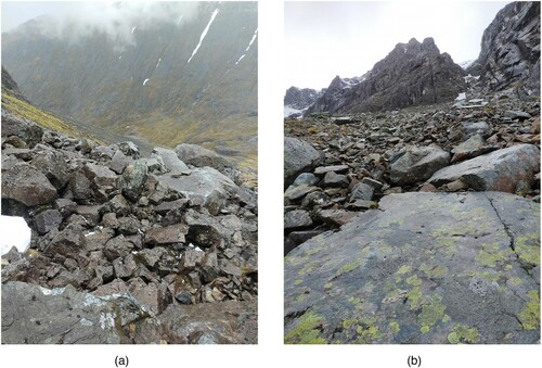 Figure 8. (a) Looking downslope from the boulder ridge in Coire na Ciste. Note the low lichen cover. The CIC hut is seen at the bottom of the valley; (b) Boulder 6 at the distal edge of the fan from Number 5 Gully showing lichen cover. Photo by K. Anderson.
