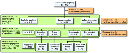 Figure 3. Flow chart illustrating the statistical analyses. These were performed in 3 main steps. In the first step, all 174 children were included, The sulcus angle (SA) was analyzed as a continuous variable. In the second step, 4 children with unknown birth presentation were excluded from further analysis. The SA was analyzed as a dichotomous variable when describing the odds ratio for dysplasia with respect to birth presentation. In the final step, knees of unknown position were excluded to obtain the odds ratio for dysplasia with respect to knee position.