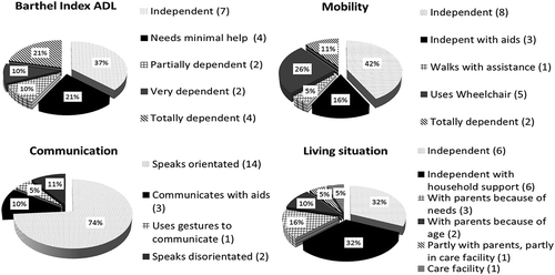 Figure 2. Functional outcome of the conscious patients at follow-up, showing the Barthel Index level of independence on activities of daily living; level of mobility (part of the Barthel Index); level of communication; and living situation.