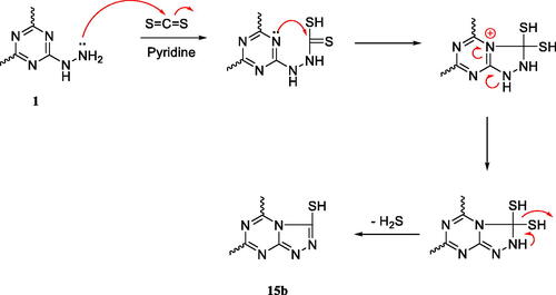 Scheme 4. A plausible mechanism for the formation of one of the two isomers regarding analogue 15b.Citation31,Citation32