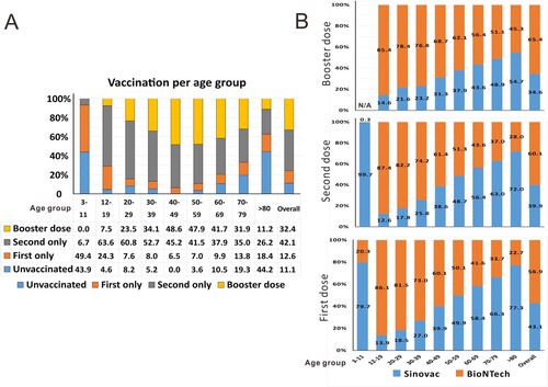 Figure 1. COVID-19 vaccination status in Hong Kong as of 17 March 2022. (A) The percentages of people in the overall population and each age group without or with injection with the first dose only, second dose only or booster dose of COVID-19 vaccine (including both Sinovac and BioNTech) in the period of 26 February 2021 to 17 March 2022. (B) The percentages of Sinovac and BioNTech injected as first, second or booster dose in each age group and in the overall population (Original data: https://www.coronavirus.gov.hk/eng/index.html).