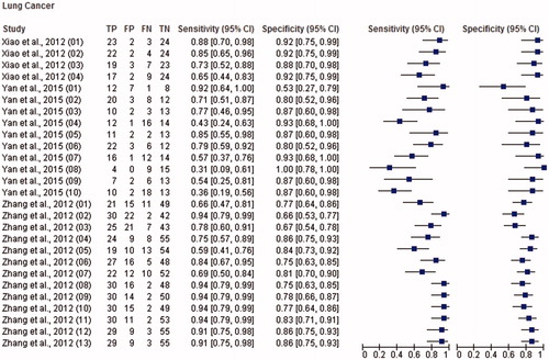Figure 3. Paired forest plot with the diagnostic test accuracy (sensitivity, specificity and 95% confidence interval) of each unit study for the salivary biomarkers in the diagnosis of lung cancer.