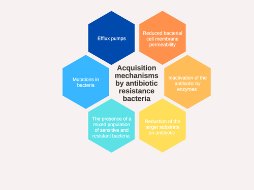 Figure 2 Diagram of cases described and associated with the occurrence of antibiotic resistance in the polar regions.