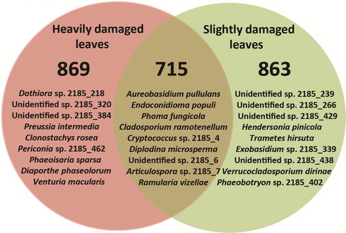 Figure 2. Venn diagram showing the overall diversity of fungal taxa (data pooled from all sites) and nine most common fungi exclusively found in heavily and slightly damaged leaves of A. hippocastanum, and overlap between both types of samples. The fungal taxa are top-down listed in descending order of occurrence as in Supplementary Table 1.